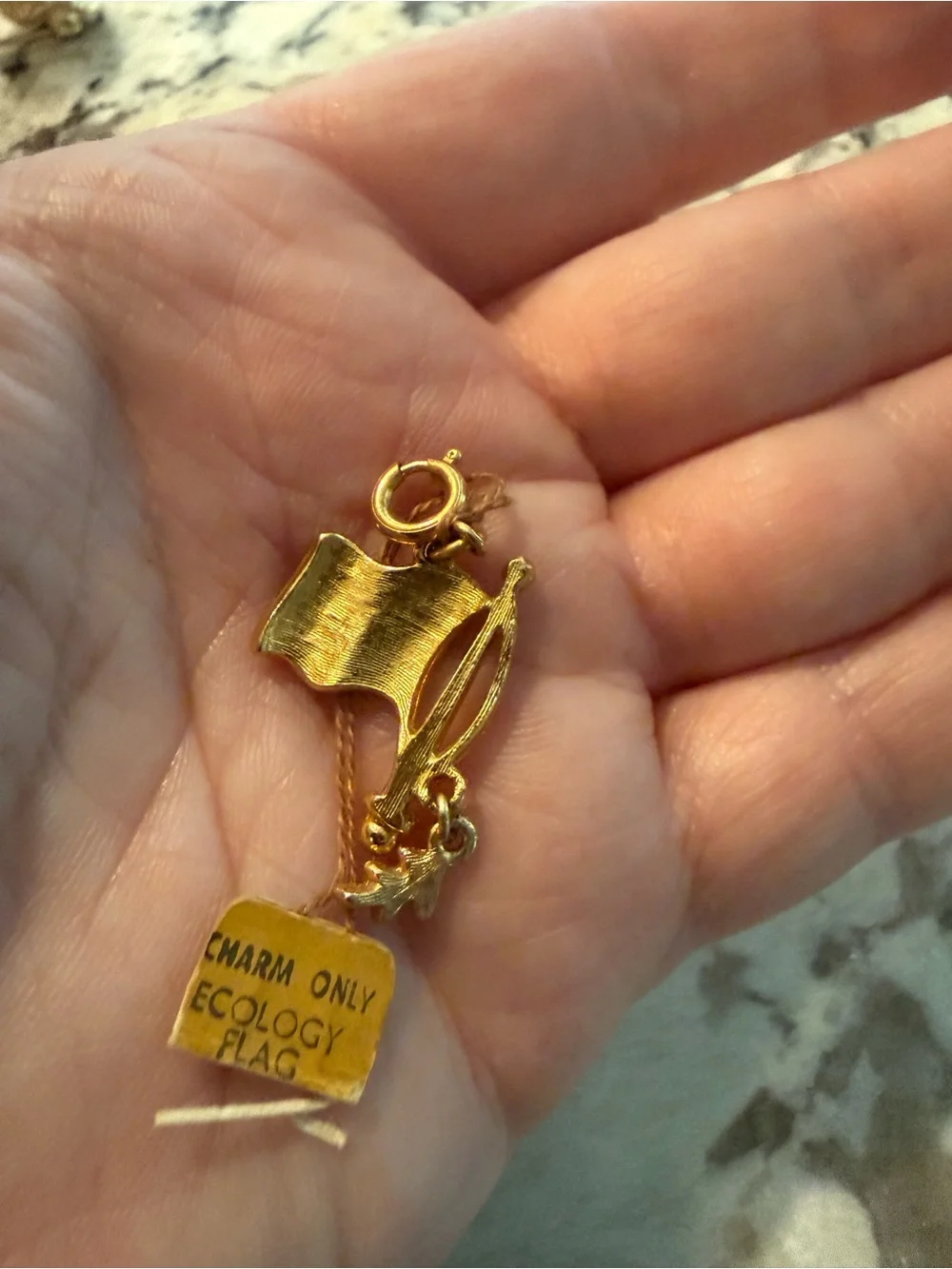Lot of Six Gold-Tone Jewelry‎ pieces incl Monet Ecology Flag Charm Brooch Pins